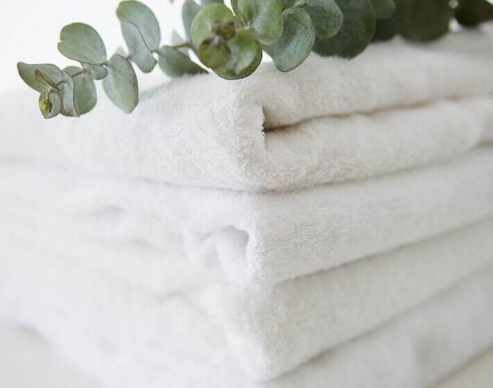 غرفة قياسية, The Essex Resort & Spa