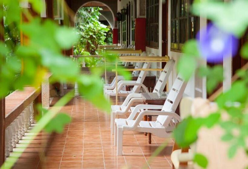 Бунгало Superior, Tropica Bungalow Beach