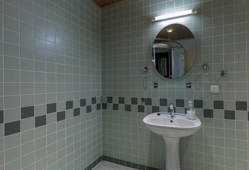 آپارتمان 1 خوابه, Viiking Spa