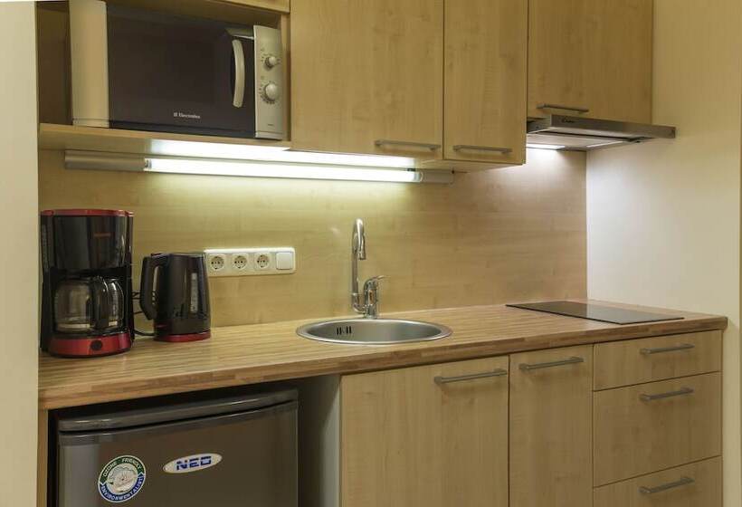 آپارتمان 1 خوابه, Viiking Spa