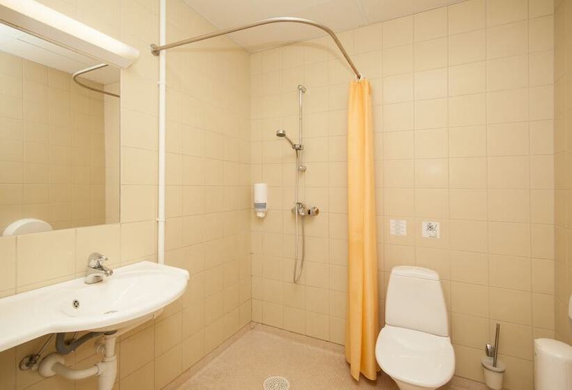 اتاق استاندارد با تخت‌های تاشو, Viiking Spa