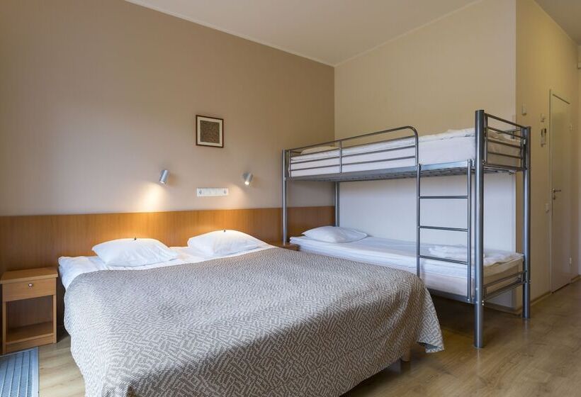 اتاق استاندارد با تخت‌های تاشو, Viiking Spa