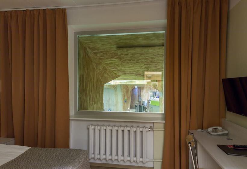 اتاق استاندارد با چشم‌انداز, Viiking Spa