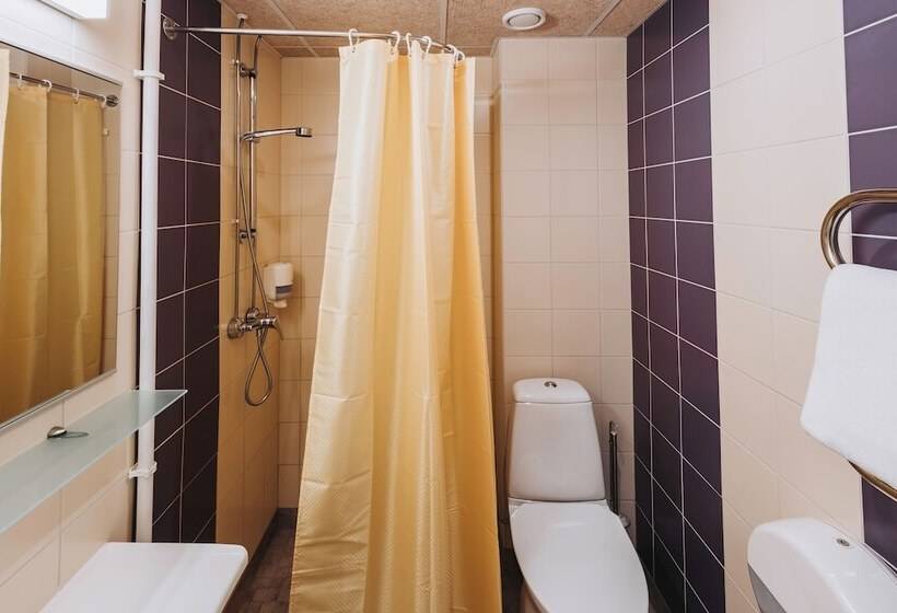 اتاق استاندارد با چشم‌انداز, Viiking Spa