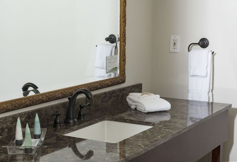 غرفة قياسية سرير مزدوج, Brasstown Valley Resort & Spa