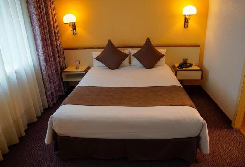 اتاق استاندارد یک نفره, Andorra Palace