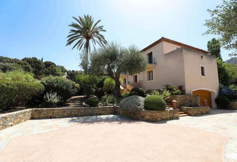 ویلای 1 خوابه با چشمانداز باغ, La Villa Calvi