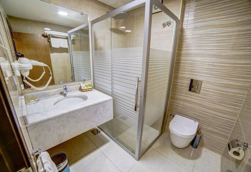 اتاق لوکس, Nairoukh Hotel Aqaba