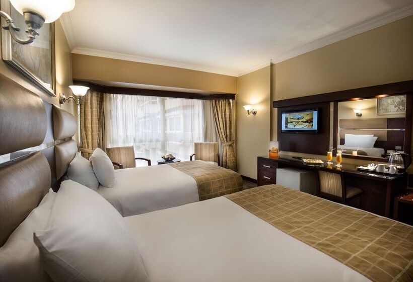 اتاق استاندارد یک نفره, Pyramisa Suites Hotel Cairo