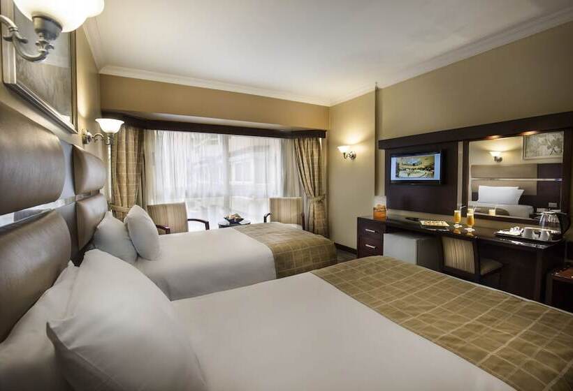 اتاق استاندارد یک نفره, Pyramisa Suites Hotel Cairo