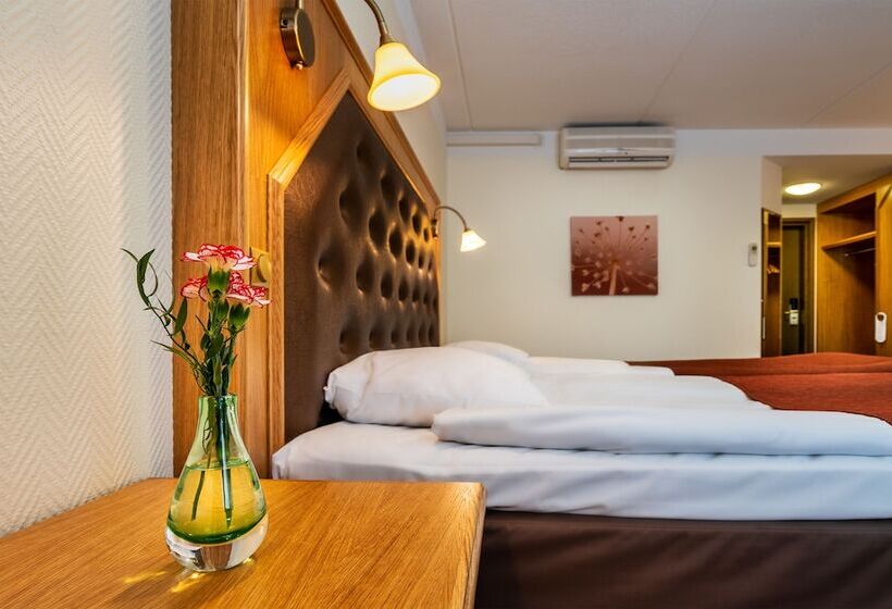 スタンダードルーム, Vallonia