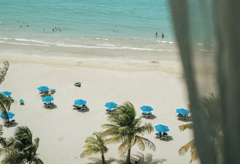 سوئیت مستر, Aire De Olive