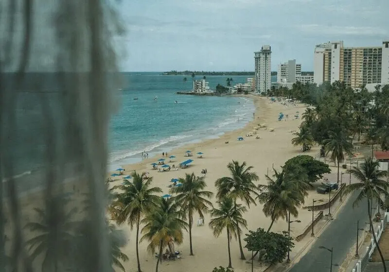 اتاق استاندارد, Aire De Olive