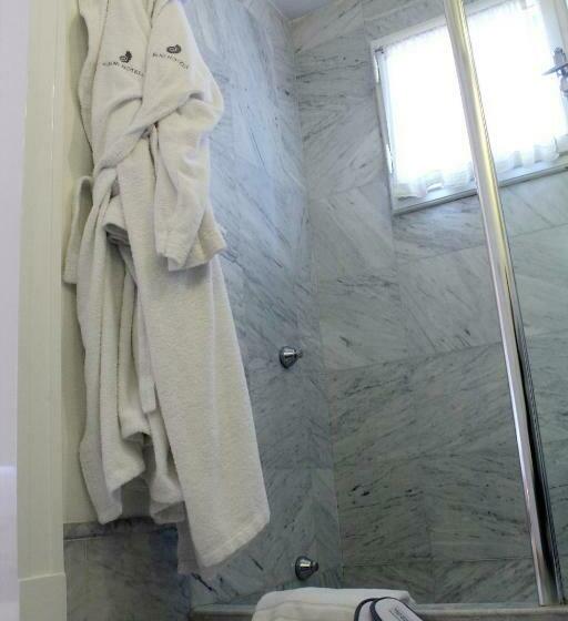 Superior Room with Terrace, Albani Firenze