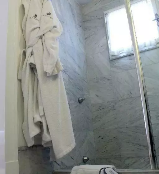 Superior Room with Terrace, Albani Firenze