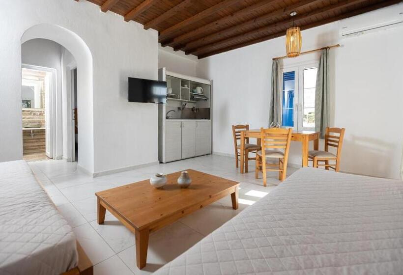 شقة غرفة واحدة, Andromeda Residence