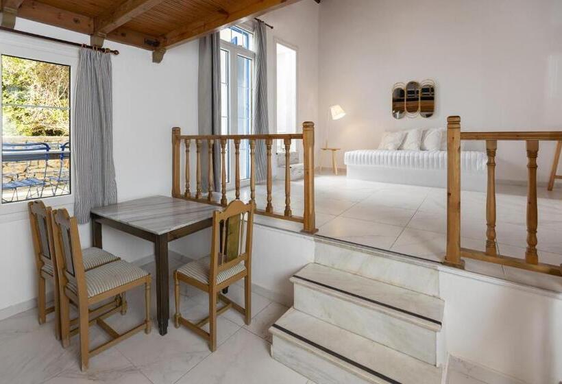 غرفة دوبلكس, Andromeda Residence