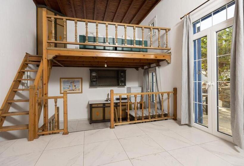 Номер Дюплекс, Andromeda Residence