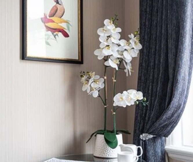 スーペリアシングルルーム, The Queens