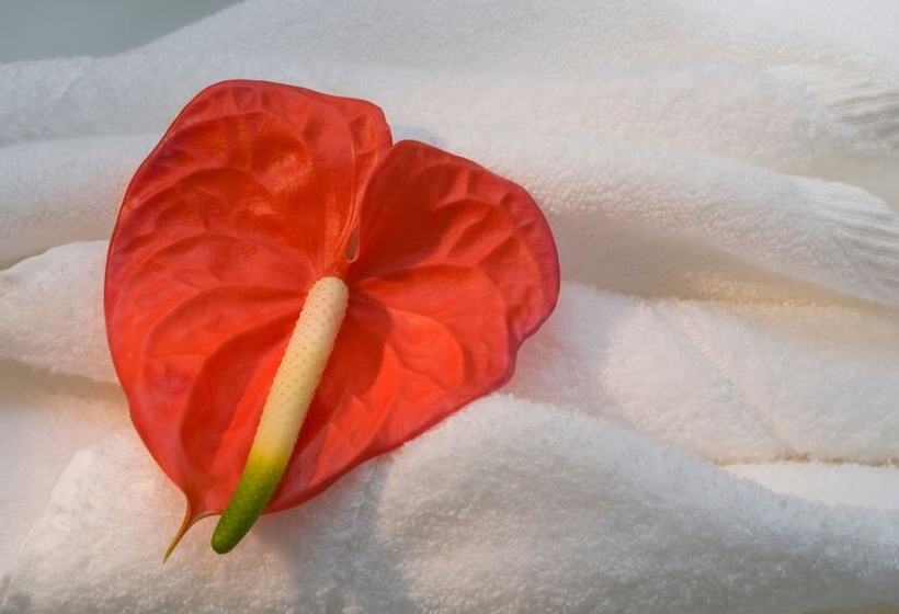 חדר סטנדרט, The Gardens