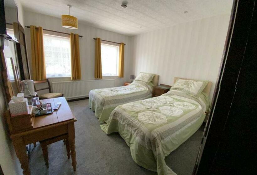 غرفة ديلوكس, The Griffin Llyswen