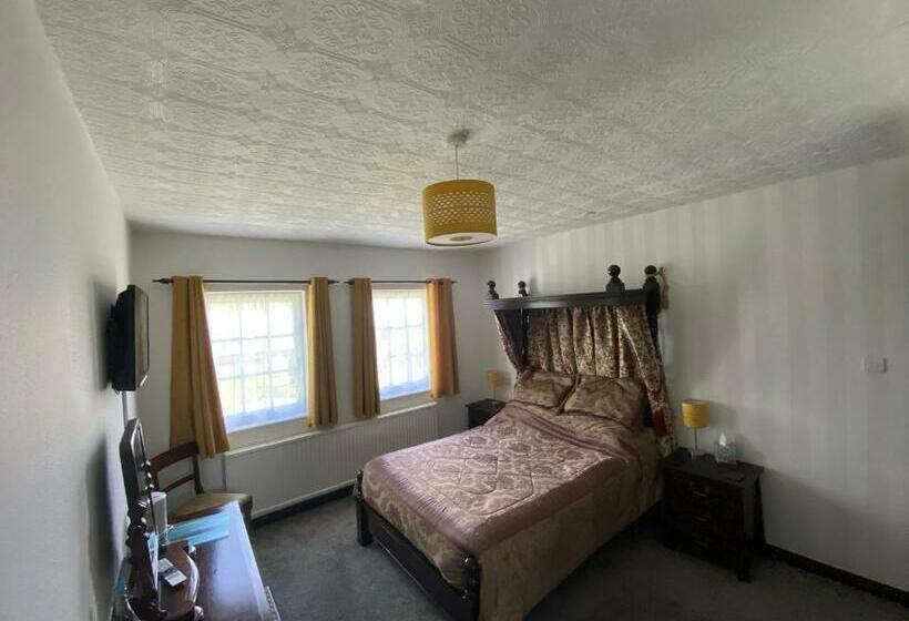 غرفة ديلوكس, The Griffin Llyswen