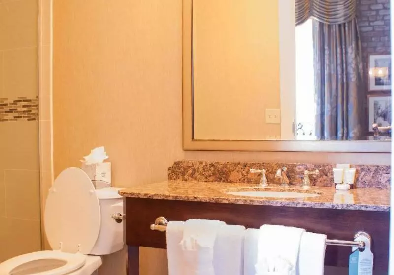 اتاق لوکس با تخت بزرگ, French Market Inn