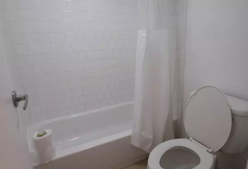 اتاق استاندارد با 2 تخت دوبل, Rodeway Inn Clearwater   Central