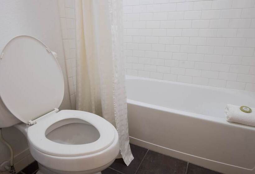 חדר סטנדרט שתי מיטות זוגיות, Rodeway Inn Clearwater   Central