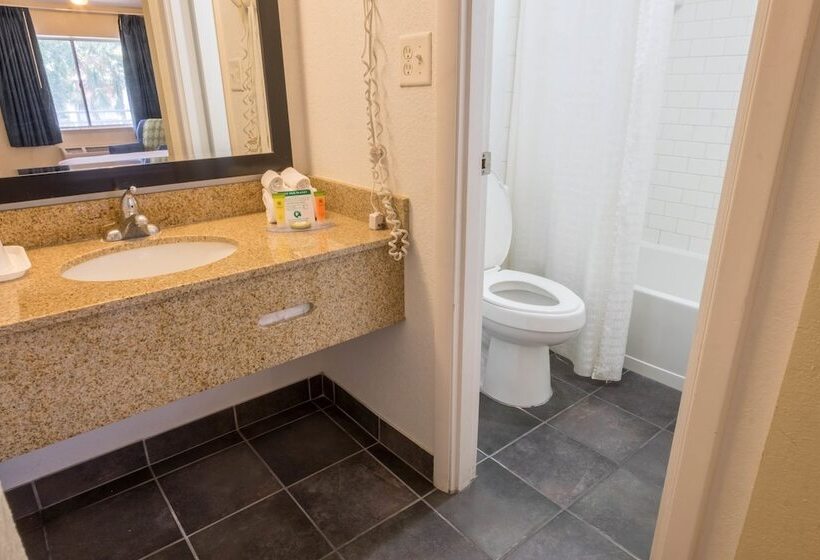 غرفه قياسيه سريرين مزدوجين, Rodeway Inn Clearwater   Central