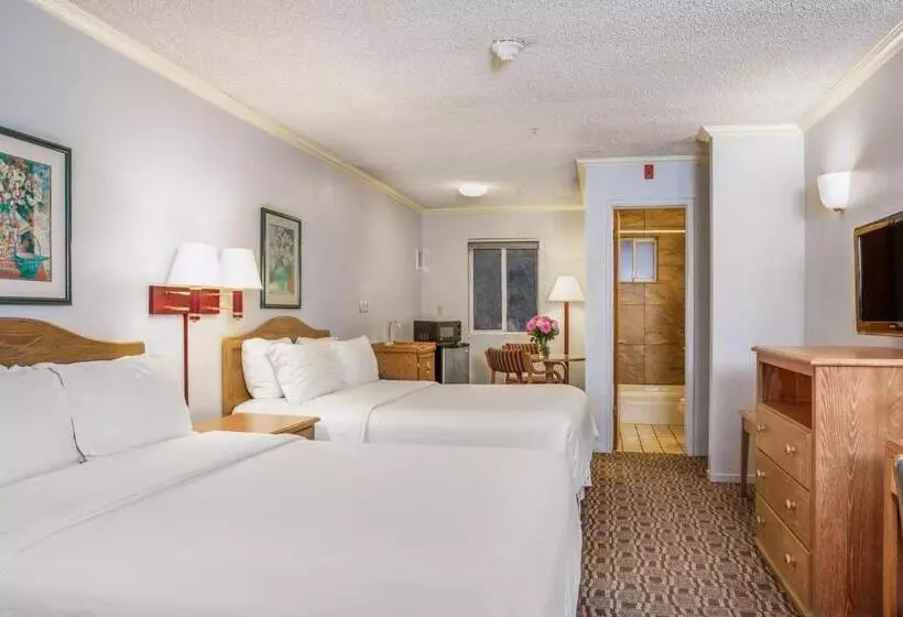 اتاق استاندارد, Buena Vista  San Luis Obispo