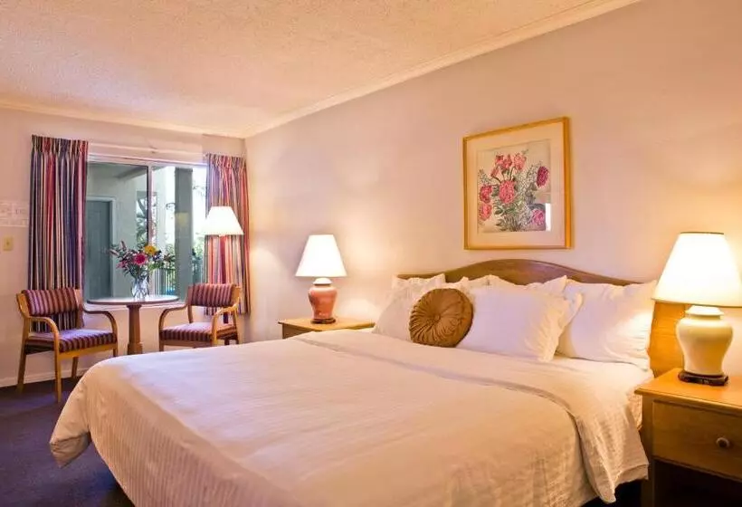 اتاق استاندارد با تخت بزرگ, Buena Vista  San Luis Obispo