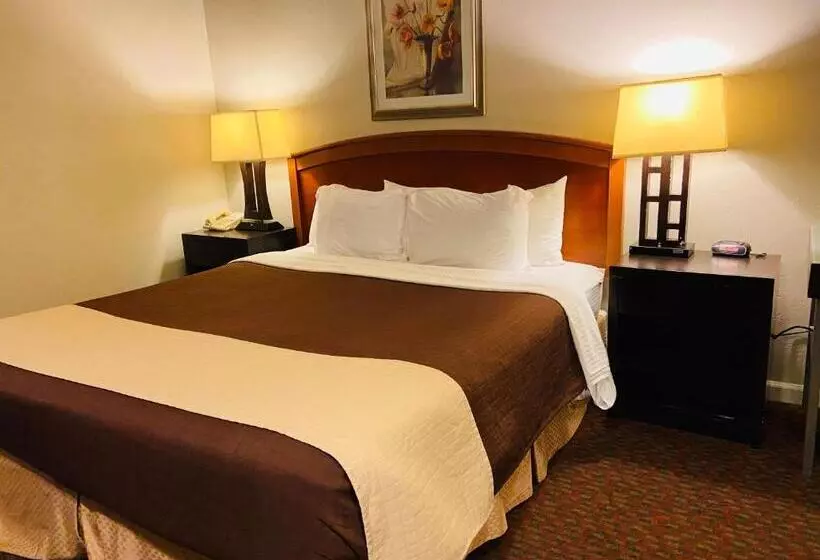 اتاق اجرایی با تخت بزرگ, Buena Vista  San Luis Obispo
