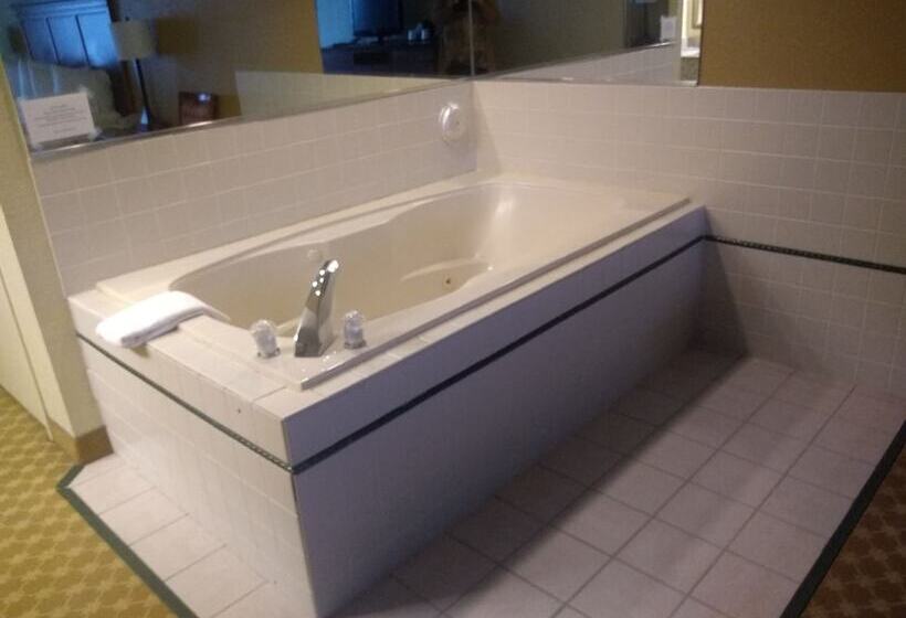 자쿠지 스위트, Country Inn & Suites By Radisson Kalamazoo Mi