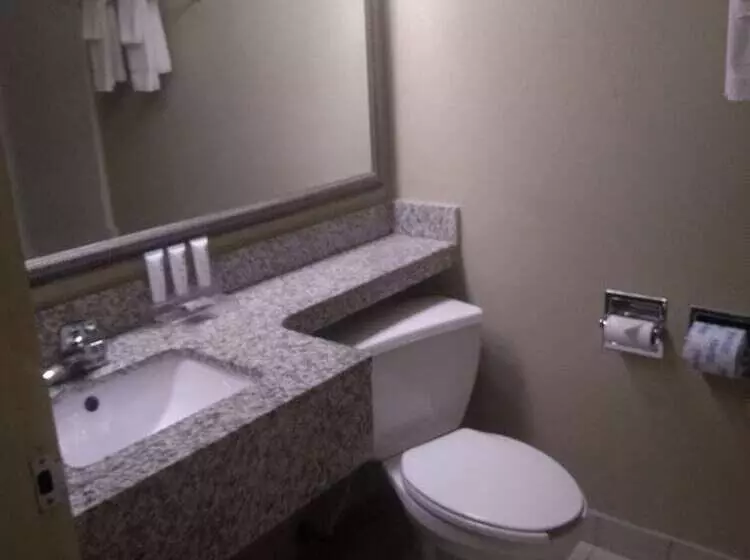 سوئیت با وان آب گرم, Country Inn & Suites By Radisson Kalamazoo Mi