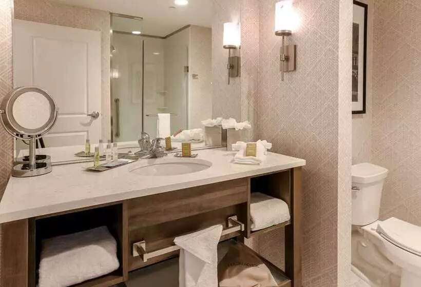 سوئیت با تخت بزرگ, Embassy Suites By Hilton San Rafael Marin County