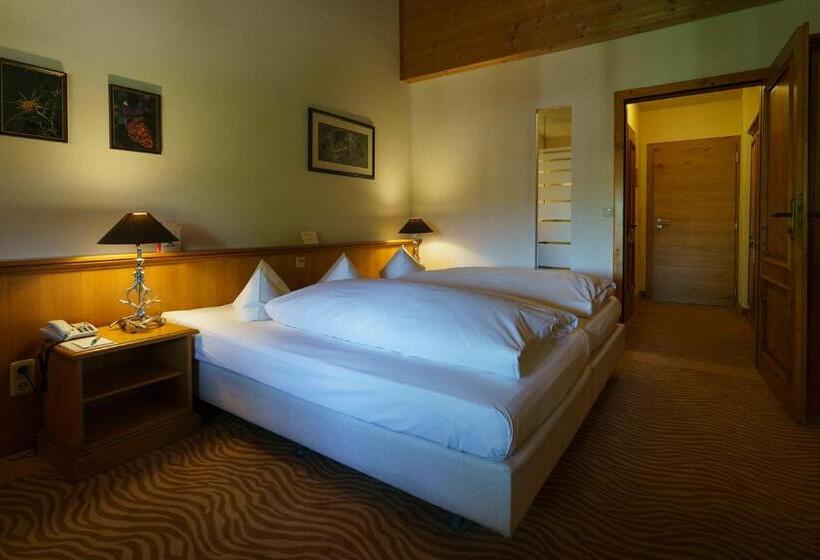 Номер Стандарт, Parkhotel Am Soier See