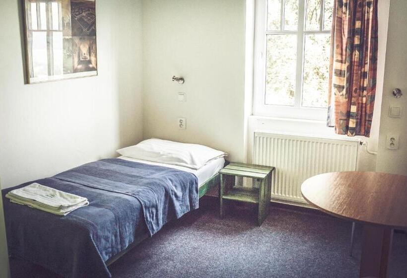 غرفة قياسية فردية, Retro Hotel Pod Zvičinou