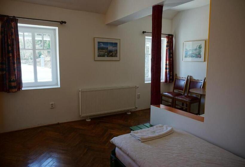 غرفة قياسية, Retro Hotel Pod Zvičinou