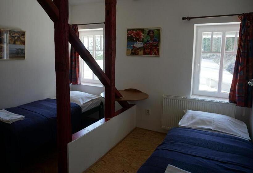 غرفة قياسية, Retro Hotel Pod Zvičinou