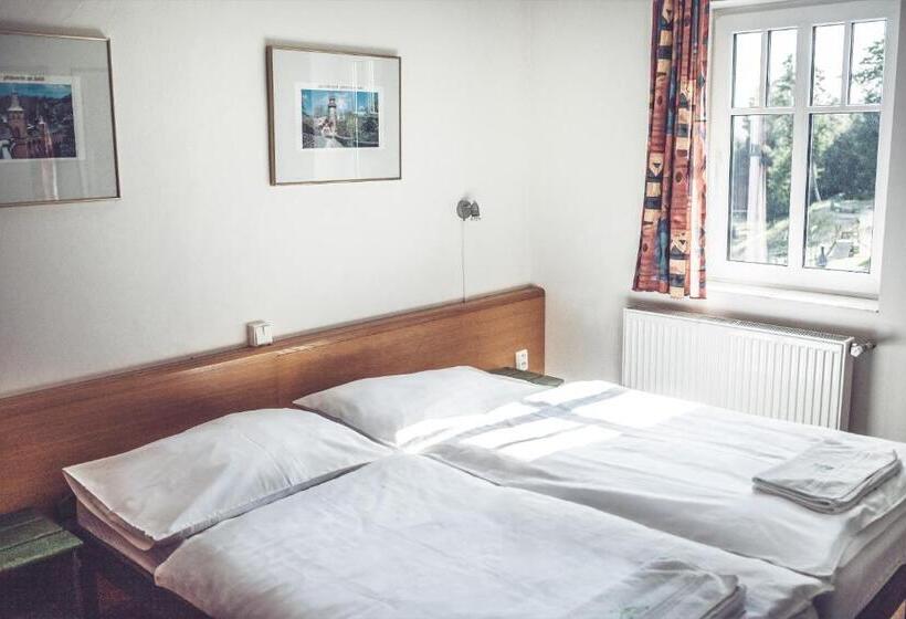 غرفة قياسية ثلاثية, Retro Hotel Pod Zvičinou