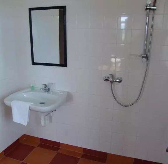 身障者適用キングサイズベッドルーム, Retro Hotel Pod Zvičinou