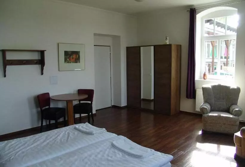 身障者適用キングサイズベッドルーム, Retro Hotel Pod Zvičinou