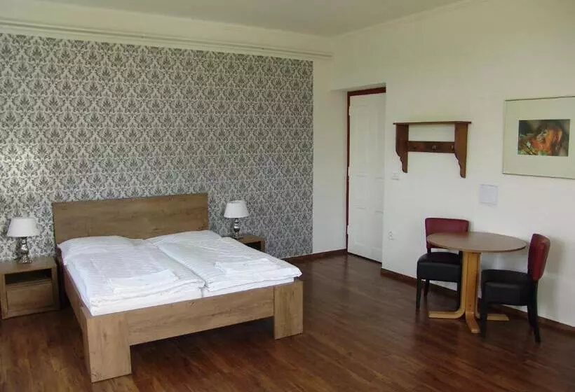 身障者適用キングサイズベッドルーム, Retro Hotel Pod Zvičinou