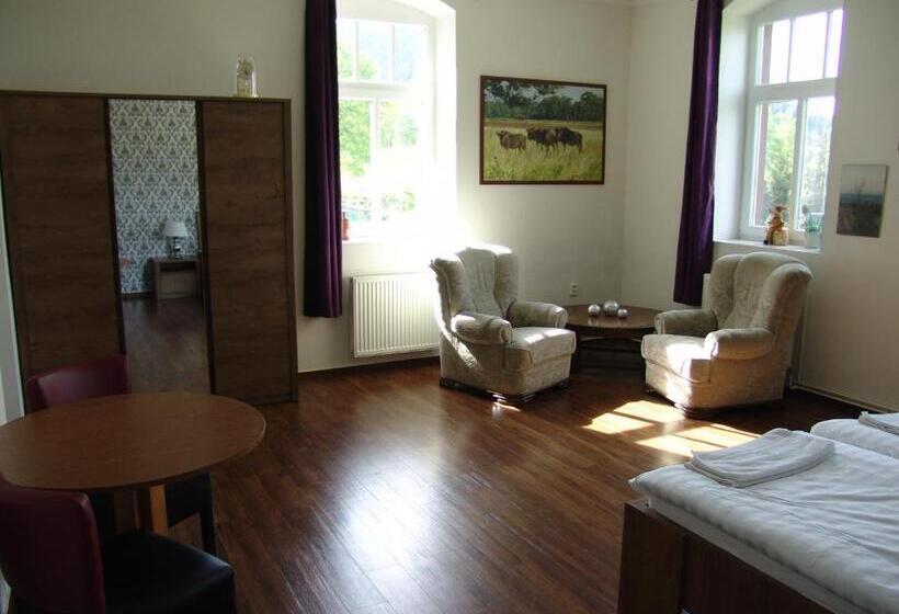 غرفة قياسية سرير كينج لذوى الإحتياجات الخاصة, Retro Hotel Pod Zvičinou