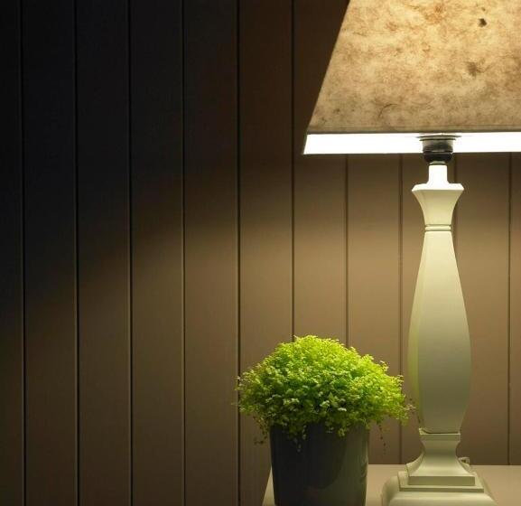 Номер Комфорт Индивидуальный, Acacia