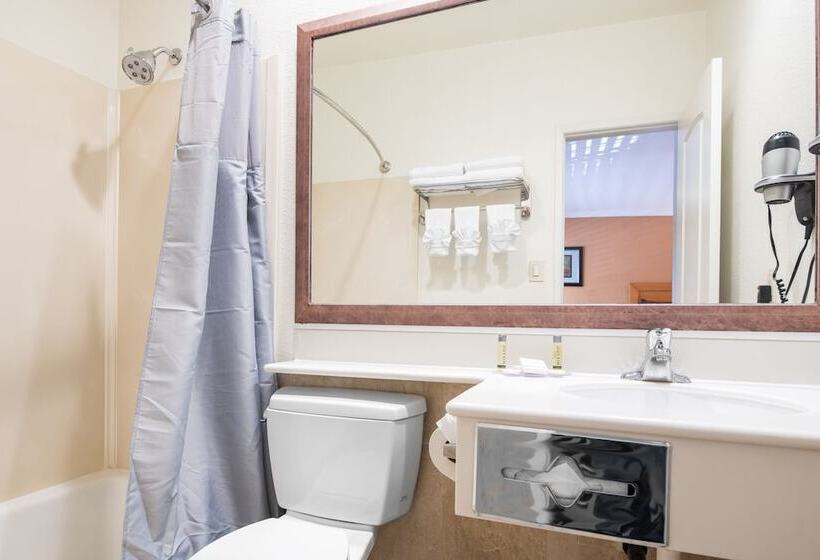 豪华房间, Anaheim Islander Inn And Suites