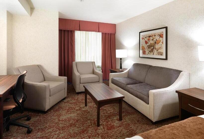 Номер Deluxe Кровать Кинг, Crystal Inn Hotel & Suites   Salt Lake City