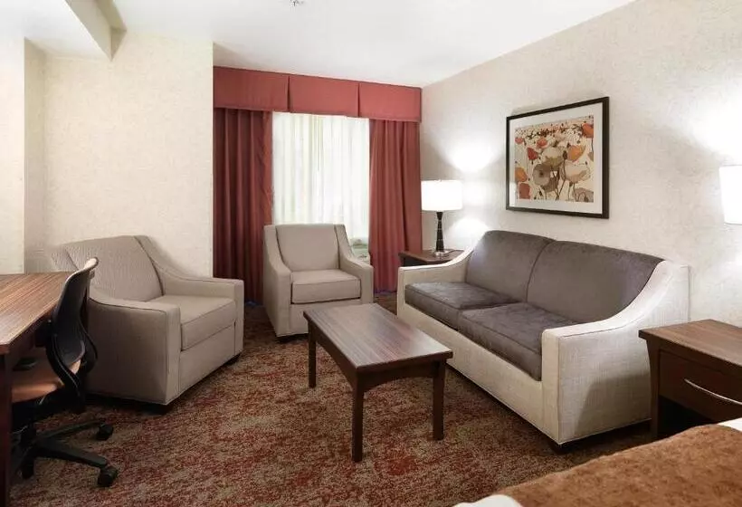 اتاق لوکس با تخت بزرگ, Crystal Inn Hotel & Suites   Salt Lake City
