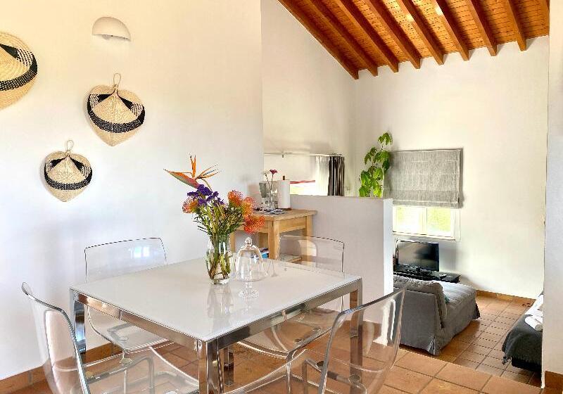 جناح إدارى سرير كينج, Crystal Inn Hotel & Suites   Salt Lake City